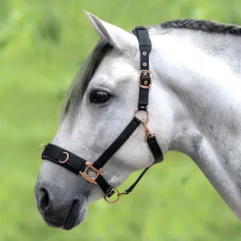 Bezudidlová Ohlávka Waldhausen RŮŽOVÝ