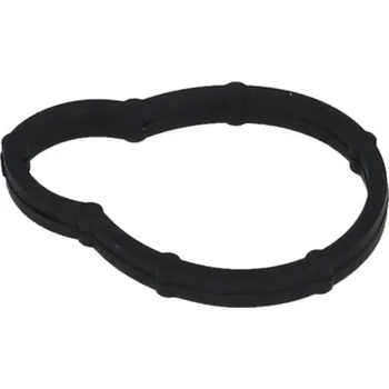 Těsnění motoru Těsnění, koleno sacího potrubí KAMOKA 8704070