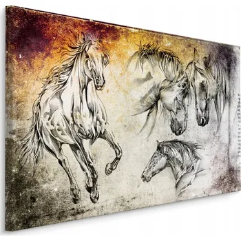 Obraz Obraz koně jako skica 40x30 /264525981