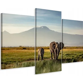 Obraz Obraz Triptych SLONI Zvířata Krajina 3D 90x60