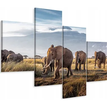 Obraz Čtyřdílný obraz SLONI Zvířata Hory 3D 80x50
