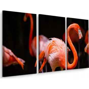 Obraz Obraz Triptych PLAMEŇÁCI na tmavém pozadí 3D 60x40