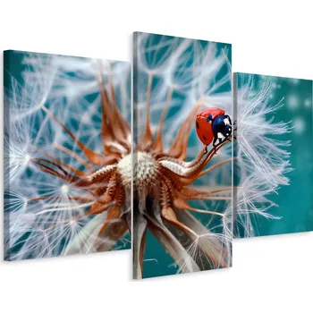 Obraz Obraz TRYPTYCH Květ Poupě Biedronka 3D 60x40