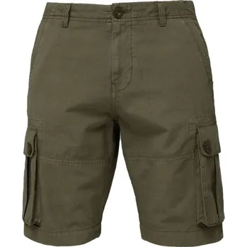 Pánské kraťasy Pánské šortky LOAP VANER S Zelená