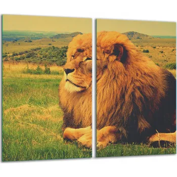 Obraz 2x SKLENĚNÁ OCHRANNÁ DESKA NA SPORÁK KUCHYNĚ 7v1