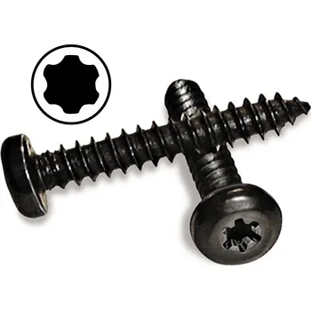 FLOORBEE TORX10 Náhradní šroubky do florbalové čepele černá