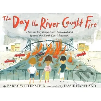 Beletrie pro dospělé The Day the River Caught Fire - Barry Wittenstein