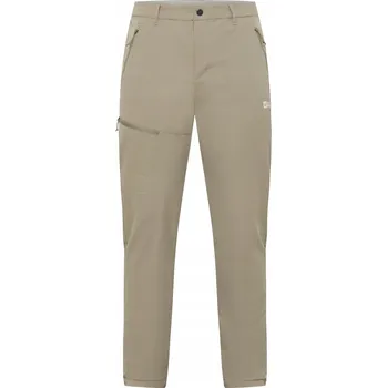 Pánské kalhoty Pánské trekové kalhoty Jack Wolfskin Pico Trail stone 54 R