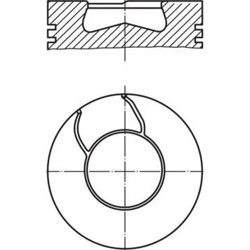 Píst motoru Píst MAHLE 008 41 00