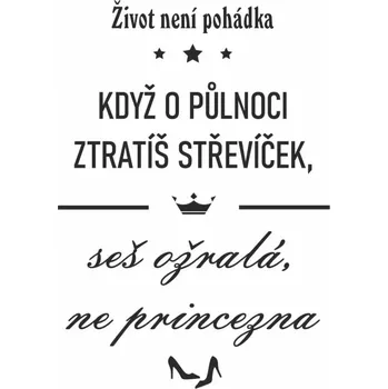 Obraz ŽIVOT NENÍ POHÁDKA pískování obrázku (Pískování obrázku na sklo z naší nabídky)