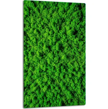 Obraz Krájecí deska TMK ArtDeko sklo 1 ks