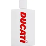 Ducati Ice Toaletní voda 100 ml pro muže