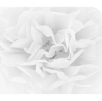 Party dekorace Papírový pompom 25 cm - bílý