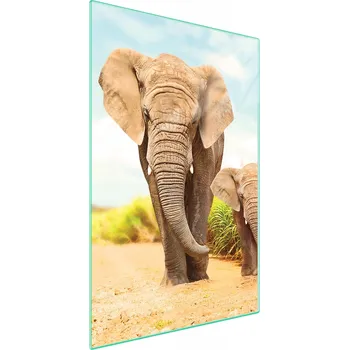 Obraz Krájecí deska TMK ArtDeko sklo 1 ks