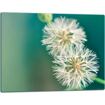 Kuchyňské prkénko Krájecí deska TMK ArtDeko sklo 1 ks