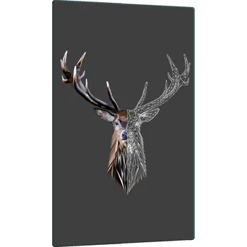 Obraz Krájecí deska TMK ArtDeko sklo 1 ks