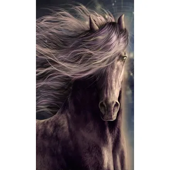 Diamantové malování Diamantové malování - Kůň a vlající hříva (85 x 45)