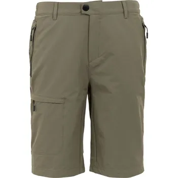 Pánské kraťasy Pánské kraťasy Regatta Highton Shorts Long II Velikost: XXL / Barva: zelená