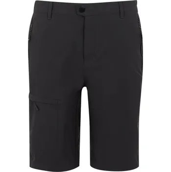 Pánské oblečení Pánské kraťasy Regatta Highton Shorts Long II Velikost: S / Barva: šedá