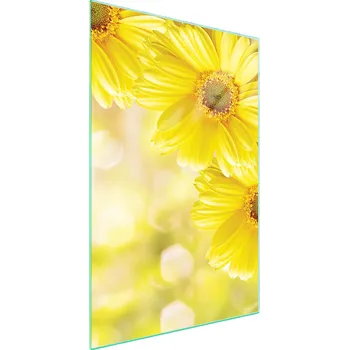 Obraz Krájecí deska TMK ArtDeko sklo 1 ks