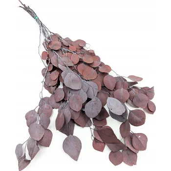 umělá květina Eukalyptus Populus – Stabilizovaný eukalyptus – Červený