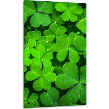 Obraz Krájecí deska TMK ArtDeko sklo 1 ks