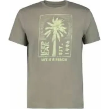 Pánské tričko Icepeak Mankato