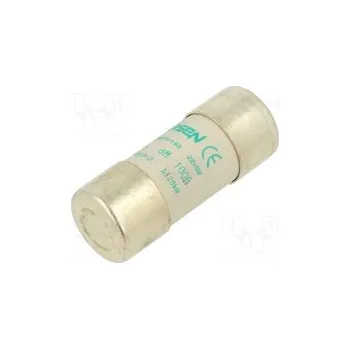 Autopojistky DF2FA100