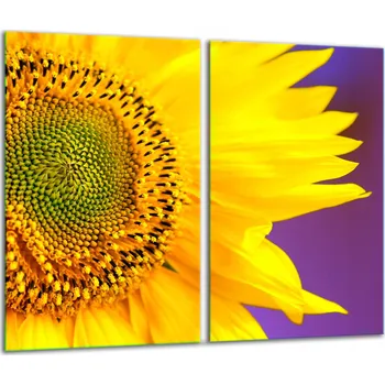 Obraz Krájecí deska TMK ArtDeko sklo 2 ks