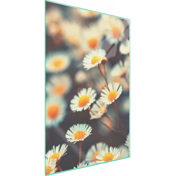 Obraz Krájecí deska TMK ArtDeko sklo 1 ks