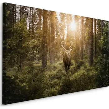 Obraz Obraz do obýváku jelen slunce stromy ZELEŇ 40x30