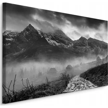 Obraz Obraz Canvas ČERNO-BÍLÝ Horská Krajina 30x20