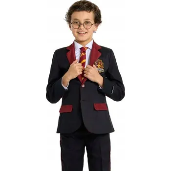 Karnevalový kostým Kostým Harry Potter Rubie's vel. 12