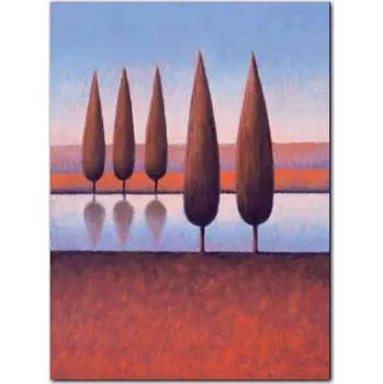 Obraz Plakát obrázek Reflections V 60x80cm