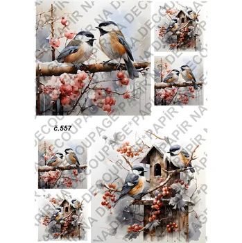 Umělecký papír Rýžový a soft papír na decoupage - Ptáček - KB0557 Materiál: Soft, Rozměr: A4