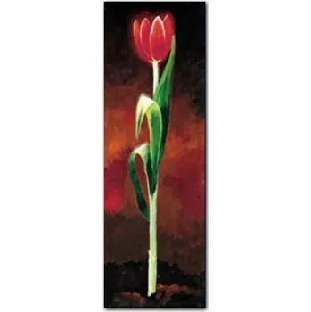Obraz Červený tulipán plakát obraz 25x70cm