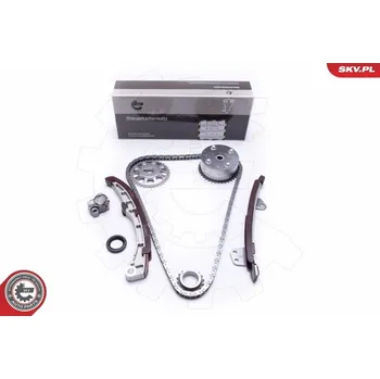 Rozvod motoru Sada rozvodového řetězu ESEN SKV 21SKV185