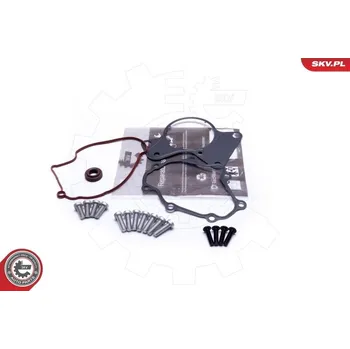 Přislušenství brzdového systému Opravná sada, podtlaková pumpa (brzdová soustava) ESEN SKV 18SKV802