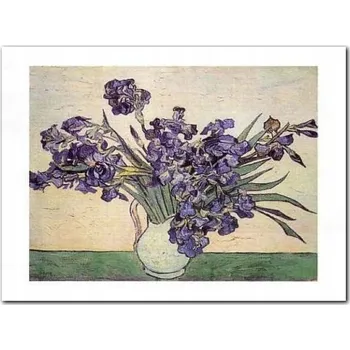 Obraz Květiny II plakát obraz 40x30cm