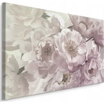 Obraz Obraz květiny příroda pivoňky vintage obývací pokoj 30x20