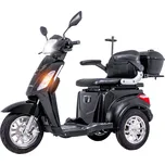 Elektrický tříkolový vozík inSPORTline Zorica - černá