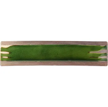 Talíř Talíř na sushi a sashimi EARTH BRIGHT GREEN MIJ 52 x 12 cm