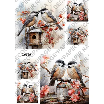 Výtvarný papír Rýžový a soft papír na decoupage - Ptáček - KB0559 Materiál: Rýžový papír, Rozměr: A4