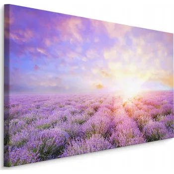 Obraz Obraz do chodby Levandulové pole KRAJINA 3D 30x20