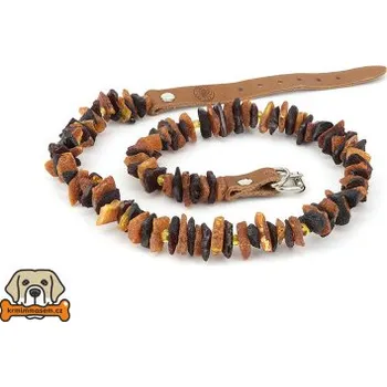 Obojek pro psa Jantarový obojek č.10 50-55 cm JO51280250_K50_10