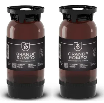 Víno Vitevis 2 x KEG GRANDE ROMEO, perlivé bílé víno, 10,5%, 20L