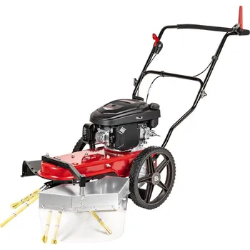 Elektrocentrála Benzínový odstraňovač plevele Hahn & Sohn CEDRUS SC02