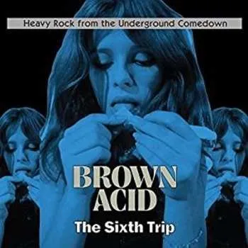 Zahraniční hudba CD Various: Brown Acid: The Sixth Trip (Heavy Rock From The Underground Comedown) 2018