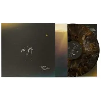 Hudba LP Mt. Joy: Hope We Have Fun (limited Edition) (dark Marble Vinyl) 2025