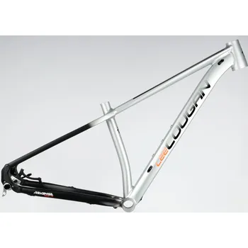 Jízdní kolo Kolo MTB 29" Lee Cougan Revenge SRAM X01 Eagle 1x12 , velikost M -19" stříbrno-černá matná